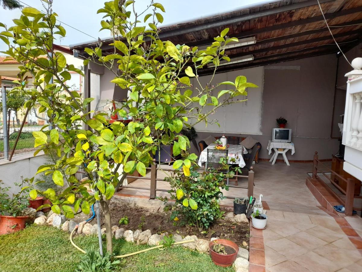 Villa Vangelis Nea Plagia Bagian luar foto
